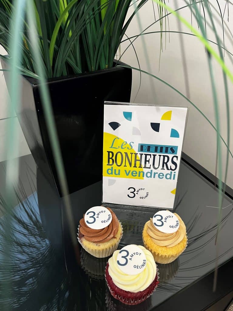 Fichier: cupcakes-pour-celebration-amyot-gelinas.jpg.