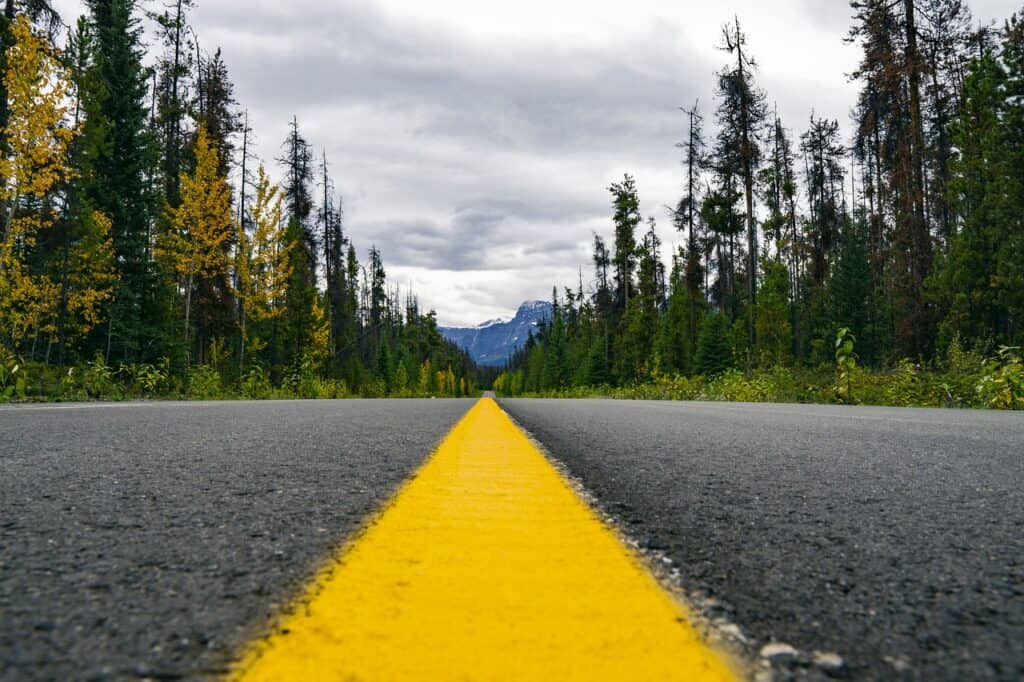 Country road between trees, natural landscape, snow-capped peak in background, cloudy sky, scenic drive, nature, mountains, forest, outdoor adventure, nature trip, travel images.
